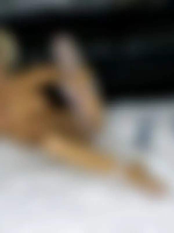Parkplatzsex HotBlondeAngel, 38 aus Hamburg