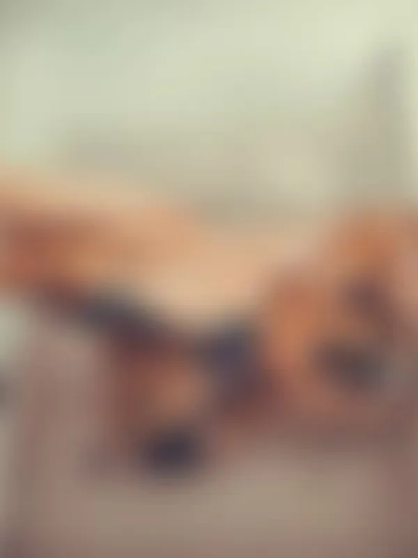 Parkplatzsex Keelie_Baby, 32 aus Sinsheim