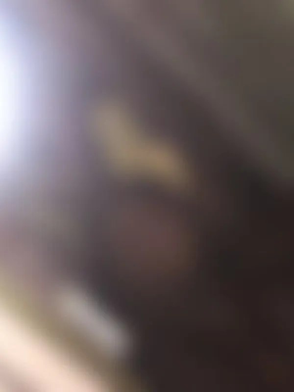 Parkplatzsex Kitty_Kash, 27 aus München