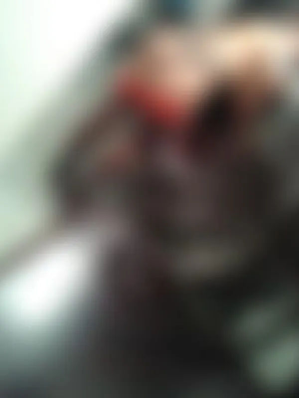 Parkplatzsex LovelyKitty42O, 29 aus Bellinzona