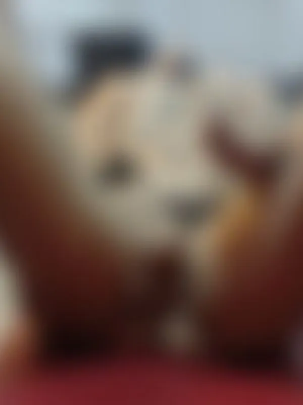 Parkplatzsex Natasha_nasty, 24 aus Luzern