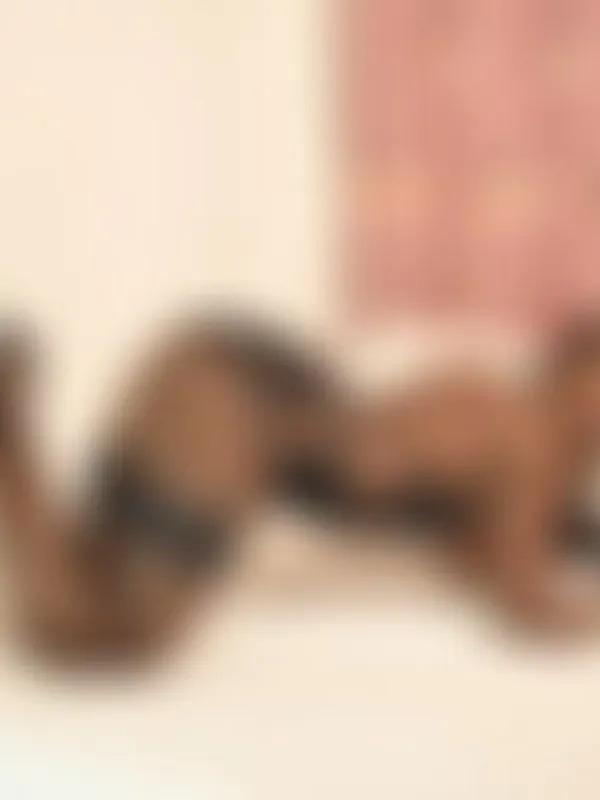 Parkplatzsex Nicoll_Prinsc19, 24 aus Ottakring