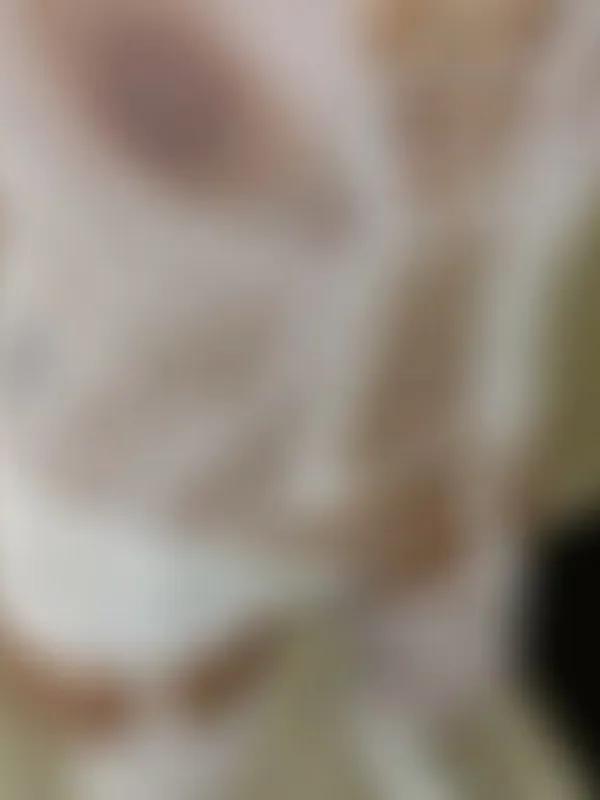 Parkplatzsex SchmuseMilf, 54 aus Erfurt