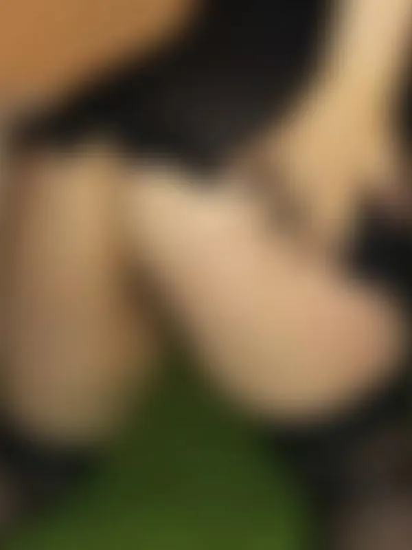 Parkplatzsex SweetSusen, 46 aus Bernburg