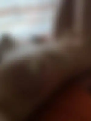 Tuttimuschi, 40